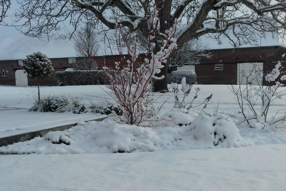 Colver paysagiste genvry noyon compiegne oise jardin sous la neige