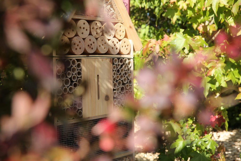 Hotel à insectes biodiversité au jardin paysager