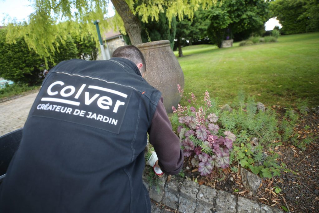 COLVER jardin paysagisme noyon compiegne nettoyage massif printemps