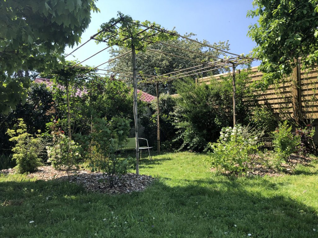 COLVER jardin noyon compiegne paysage pergola arbre parasol