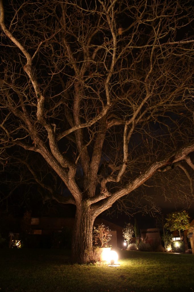 Colver createur jardin paysagiste oise compiegne noyon eclairage arbre hiver