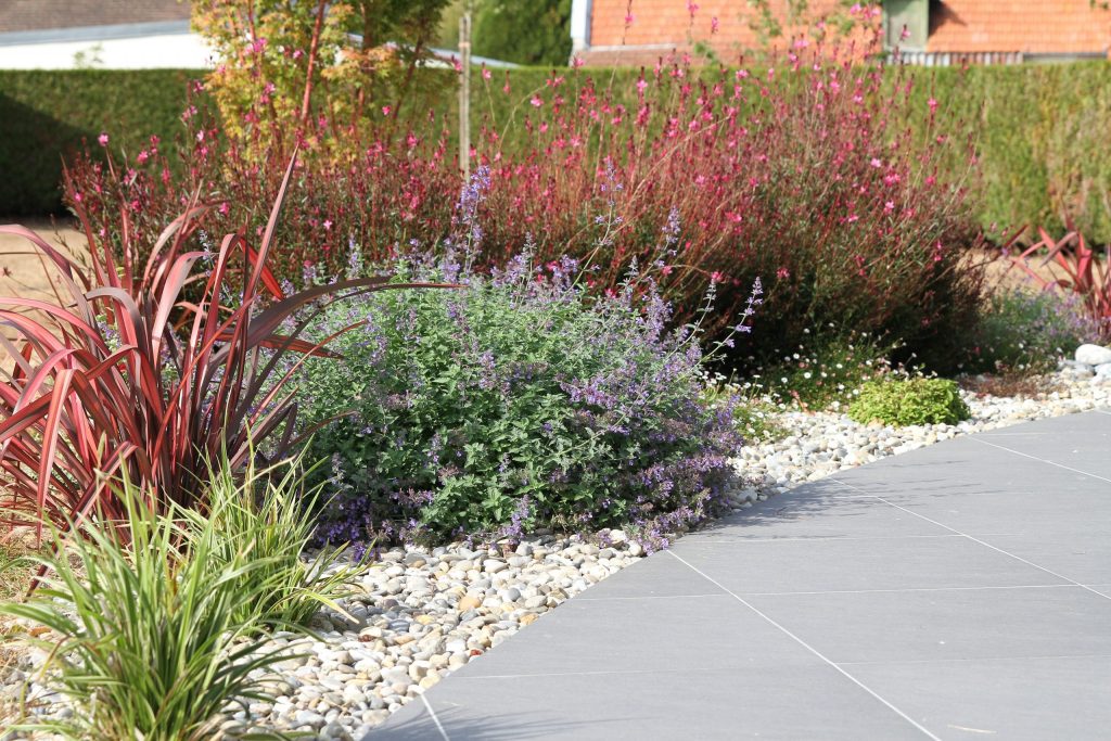 Colver créateur jardin paysagiste oise noyon compiègne aménagement massif fleuri paillage minéral galets