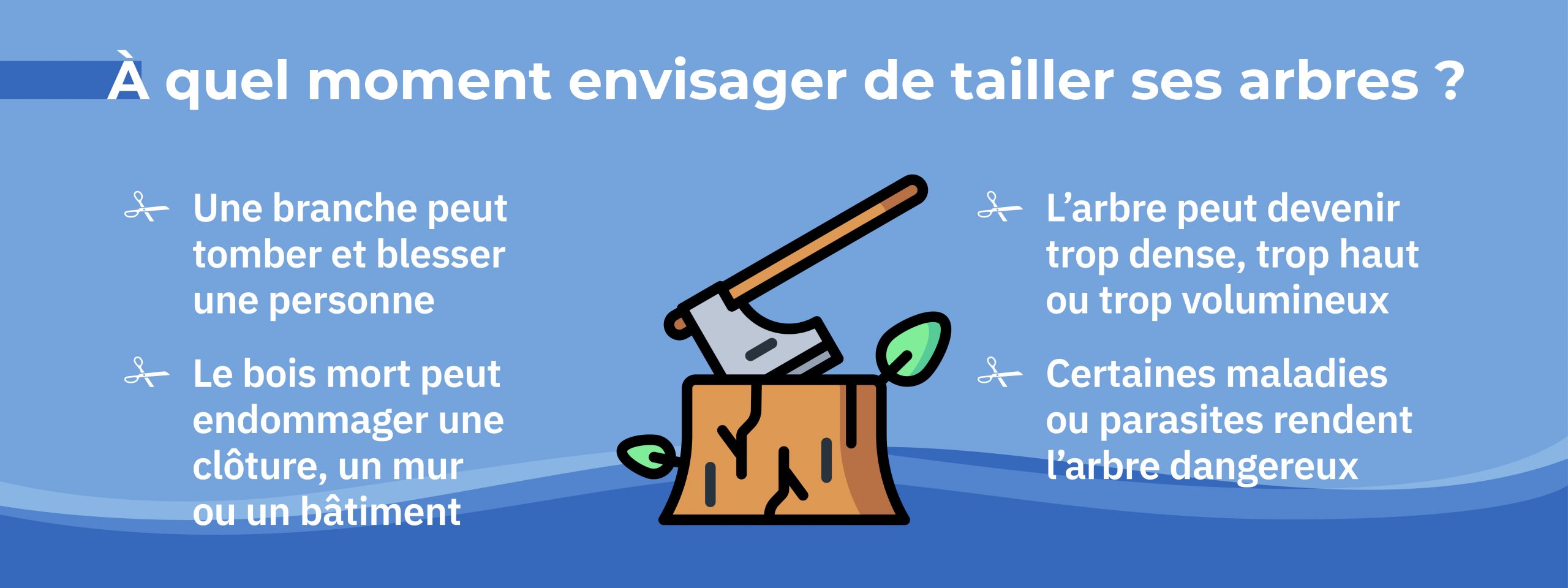 les causes qui justifient l'élagage d’un arbre