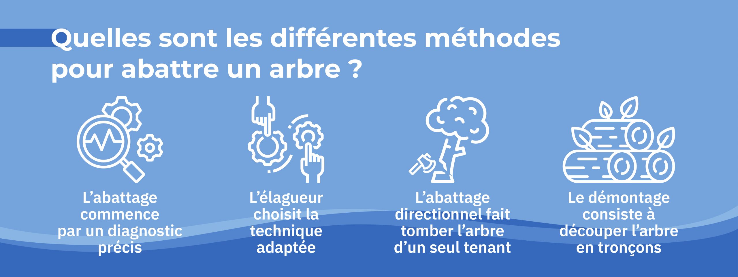 les différentes techniques d’abattage d’arbre