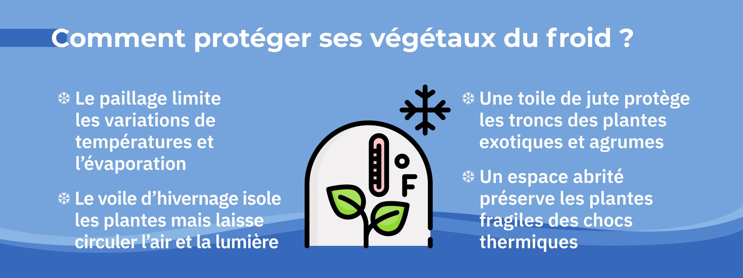 infographie détaillant des astuces pour protéger ses plantes du froid