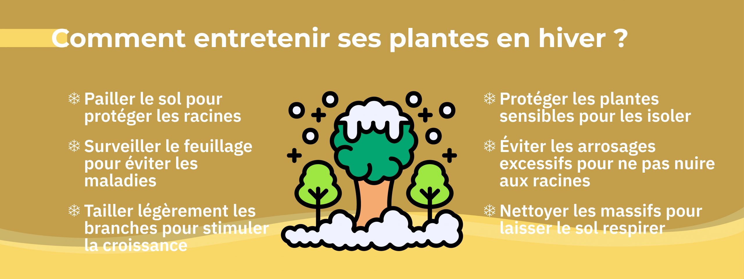 infographie expliquant comment entretenir ses végétaux l’hiver
