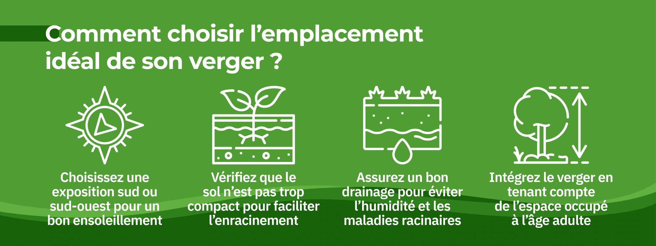 infographie donnant des astuces pour bien choisir l’emplacement de son verger dans le jardin