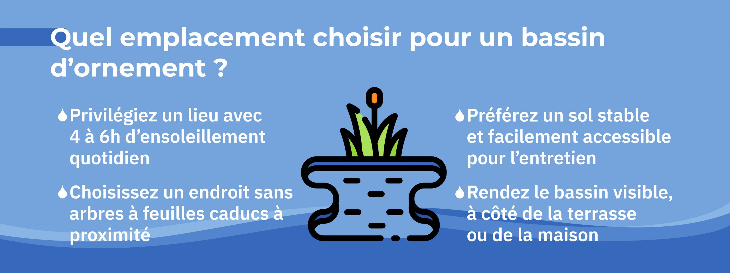 infographie précisant l’emplacement idéal pour installer un bassin dans son jardin