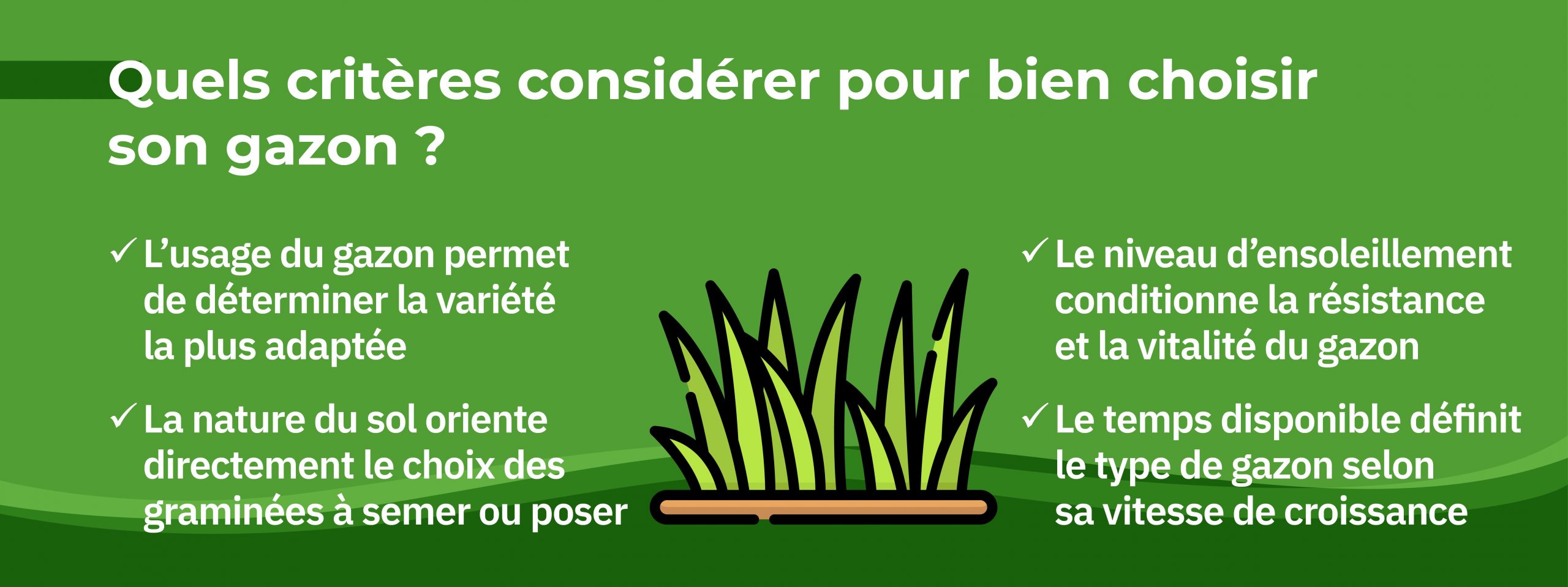 les critères à considérer pour savoir quel gazon choisir selon l’usage, le sol et l’ensoleillement