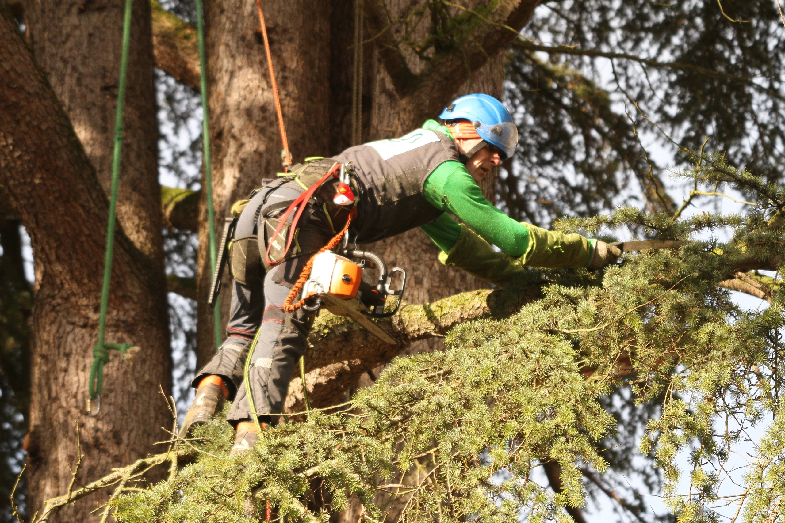 Technicien Colver introduisant des branches dans un broyeur lors d'une intervention d'élagage — Compiègne, Oise