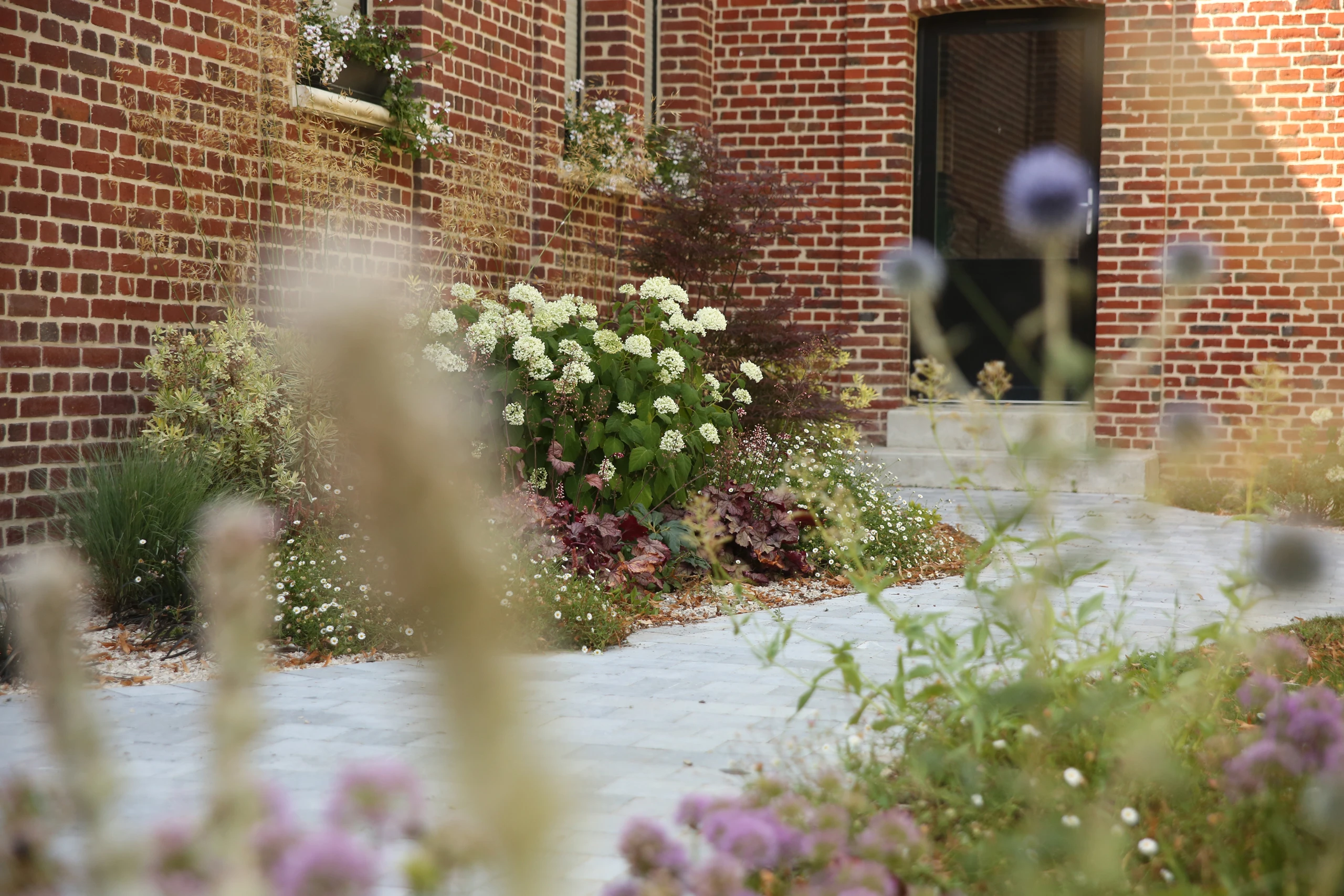 Massif d'hortensia blanc, heuchera bordeaux et graminées devant une maison en briques sur terrasse en pierre — Noyon, Oise — Colver