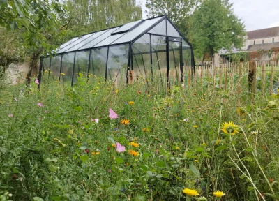 Serre de jardin noire entourée d'une prairie fleurie colorée et d'un potager — réalisation Colver