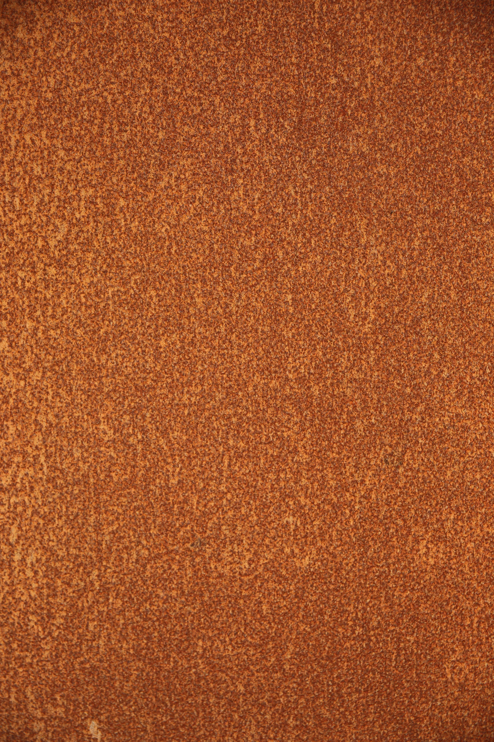 Détail clôture grillage rigide LIPPI thermolaqué marron — Soissons, Aisne