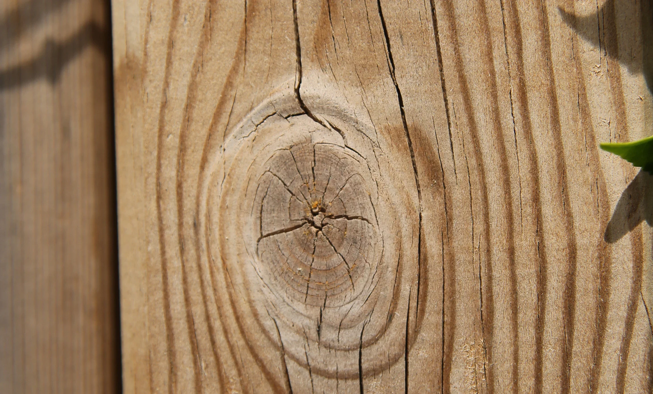 Détail poteau en bois massif Douglas pour pergola sur mesure, finition naturelle à Lacroix-Saint-Ouen — Colver