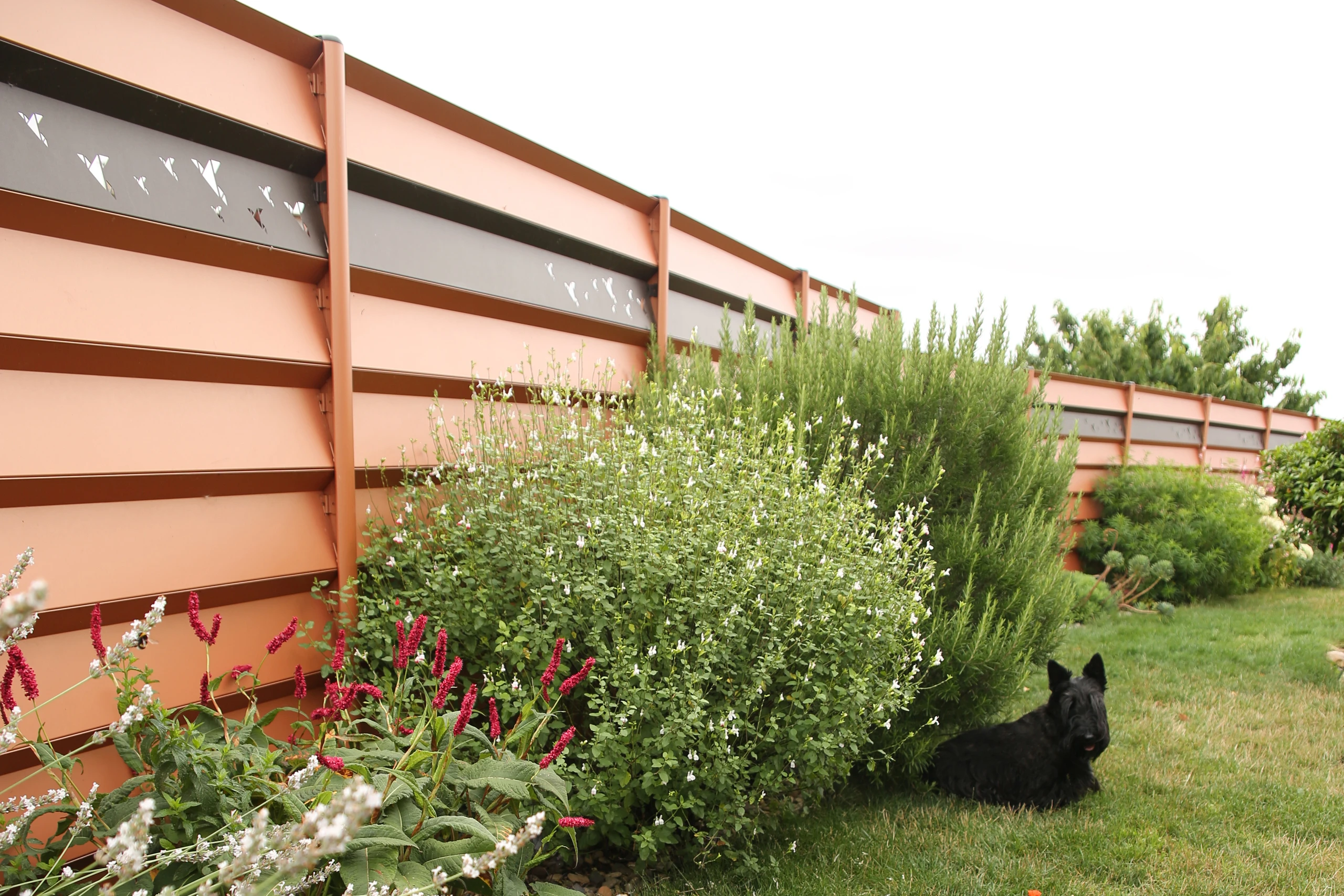 Détail texture patine acier corten pour clôture ou portail — Oise, Colver