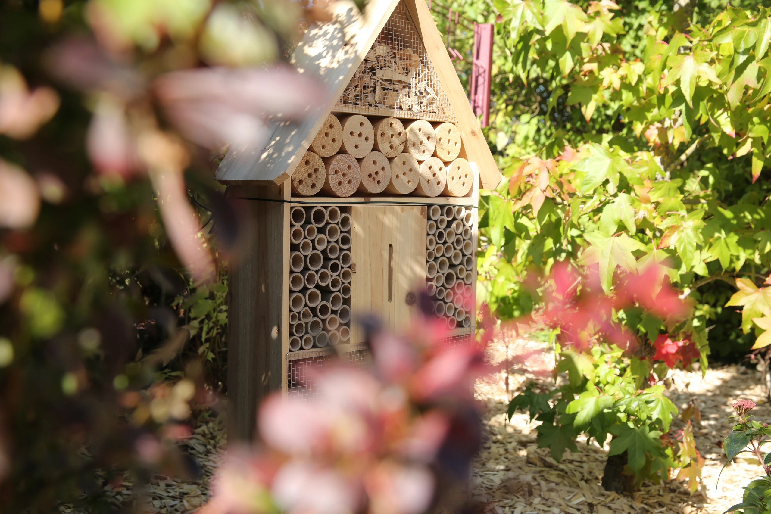 Hôtel à insectes en bois dans un jardin écologique fleuri — biodiversité et plantation Colver