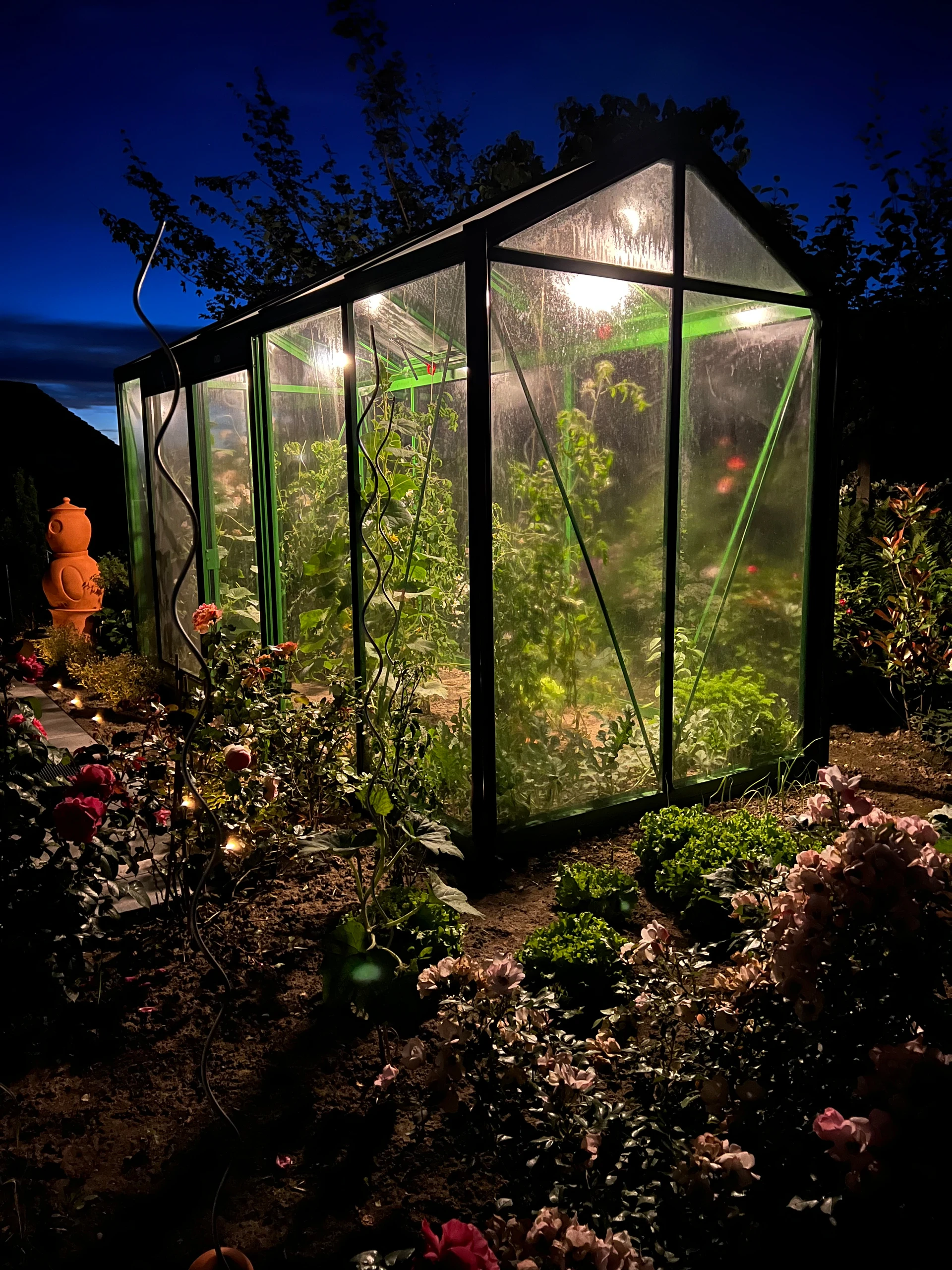 Serre de jardin illuminée de nuit avec plantes en croissance et massifs de roses, ambiance lumineuse à Pont-Sainte-Maxence — Colver