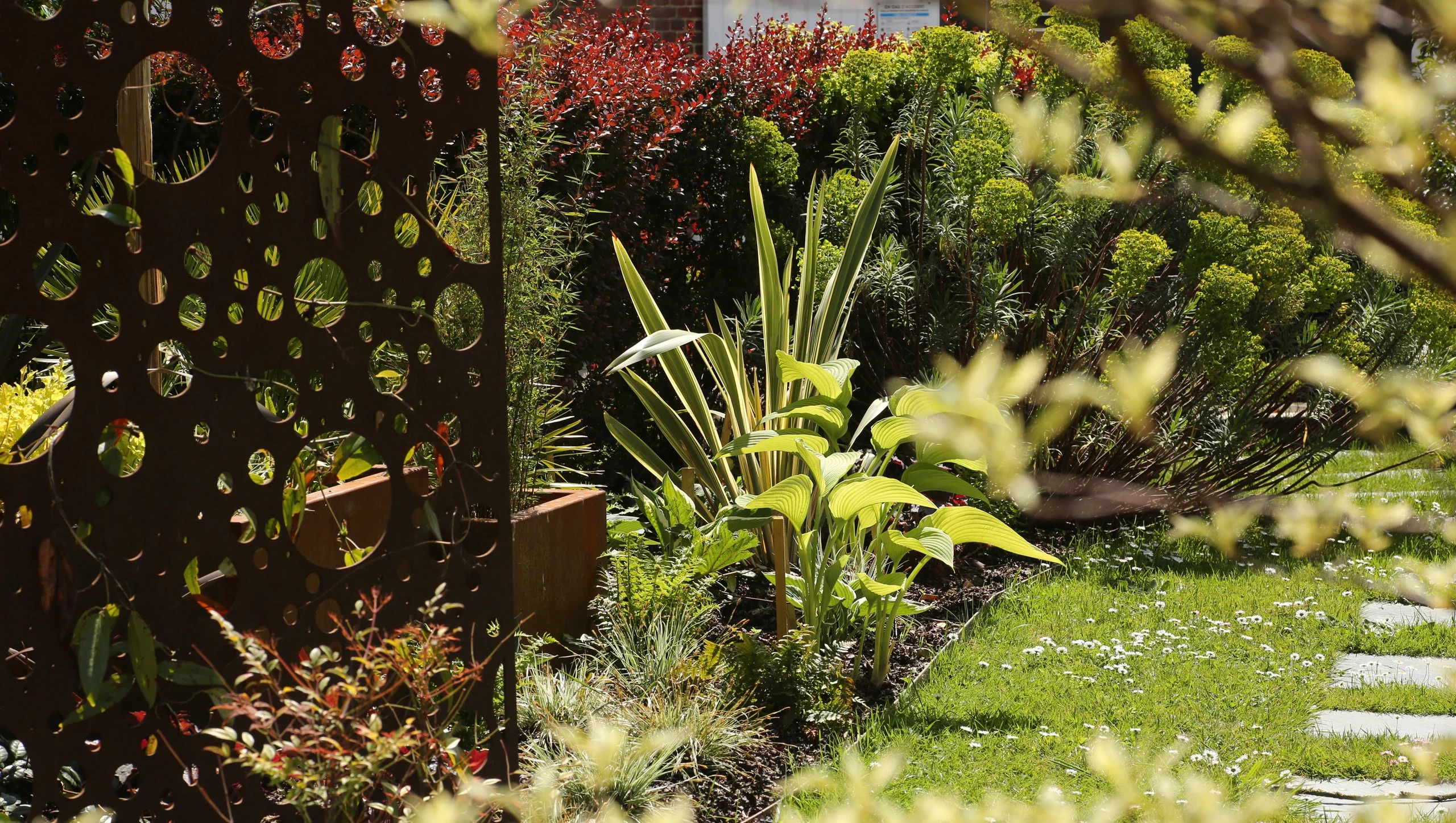 Massif de hostas, phormium panaché et vivaces colorées derrière claustra acier corten — Thourotte, Oise — Colver