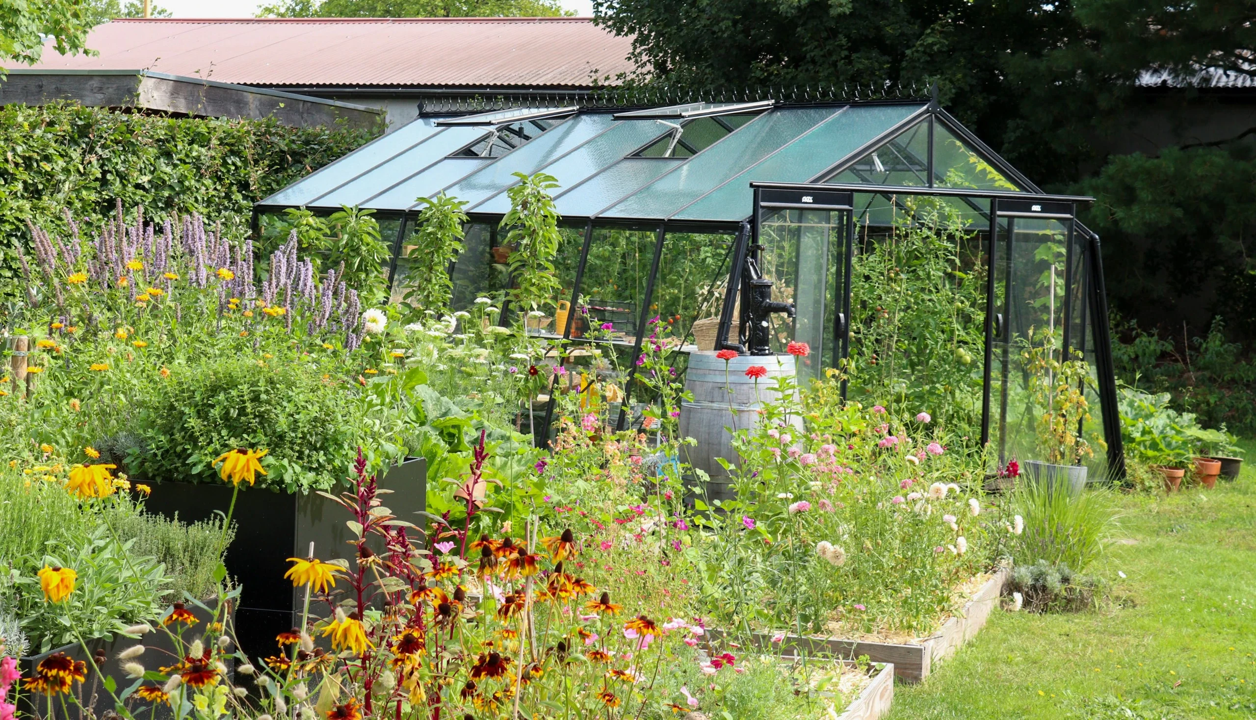 Serre de jardin en aluminium noir intégrée dans un potager fleuri avec rudbeckias et cosmos à Margny-lès-Compiègne — Colver