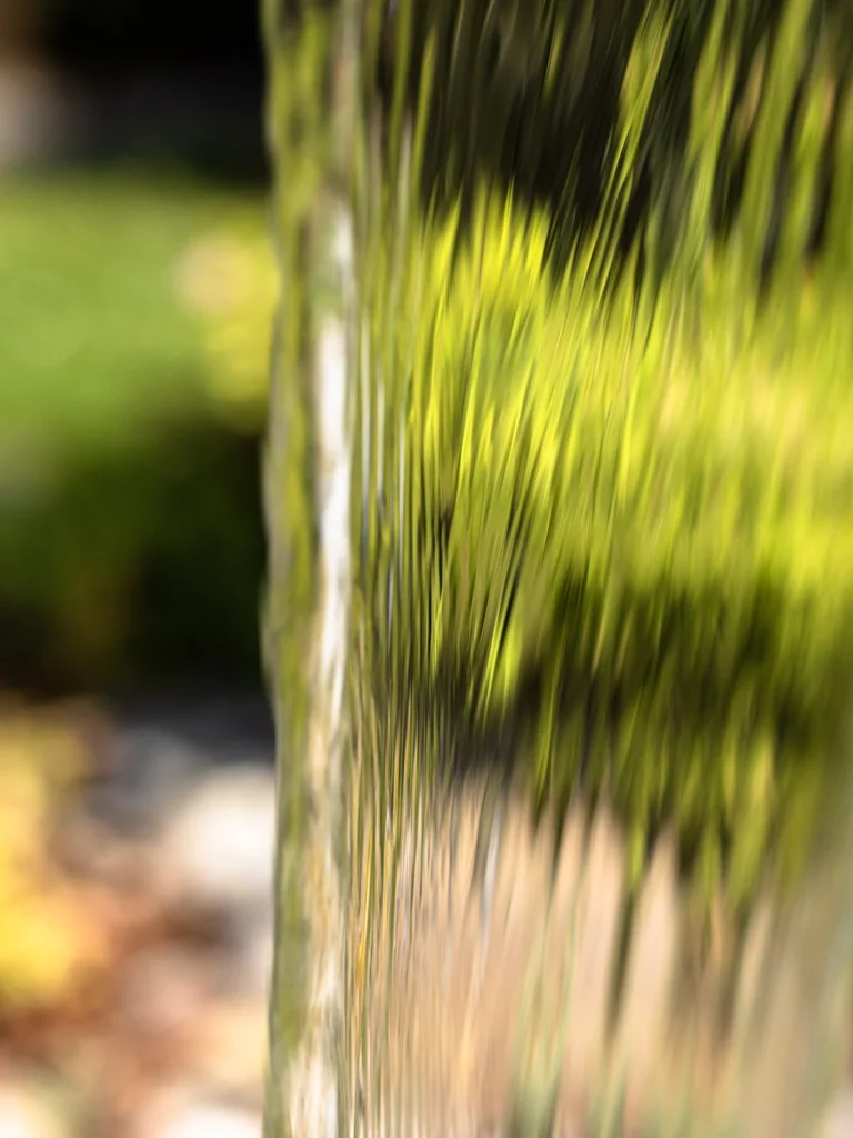 Gros plan artistique sur des épis de graminée en mouvement dans un jardin — Colver Oise