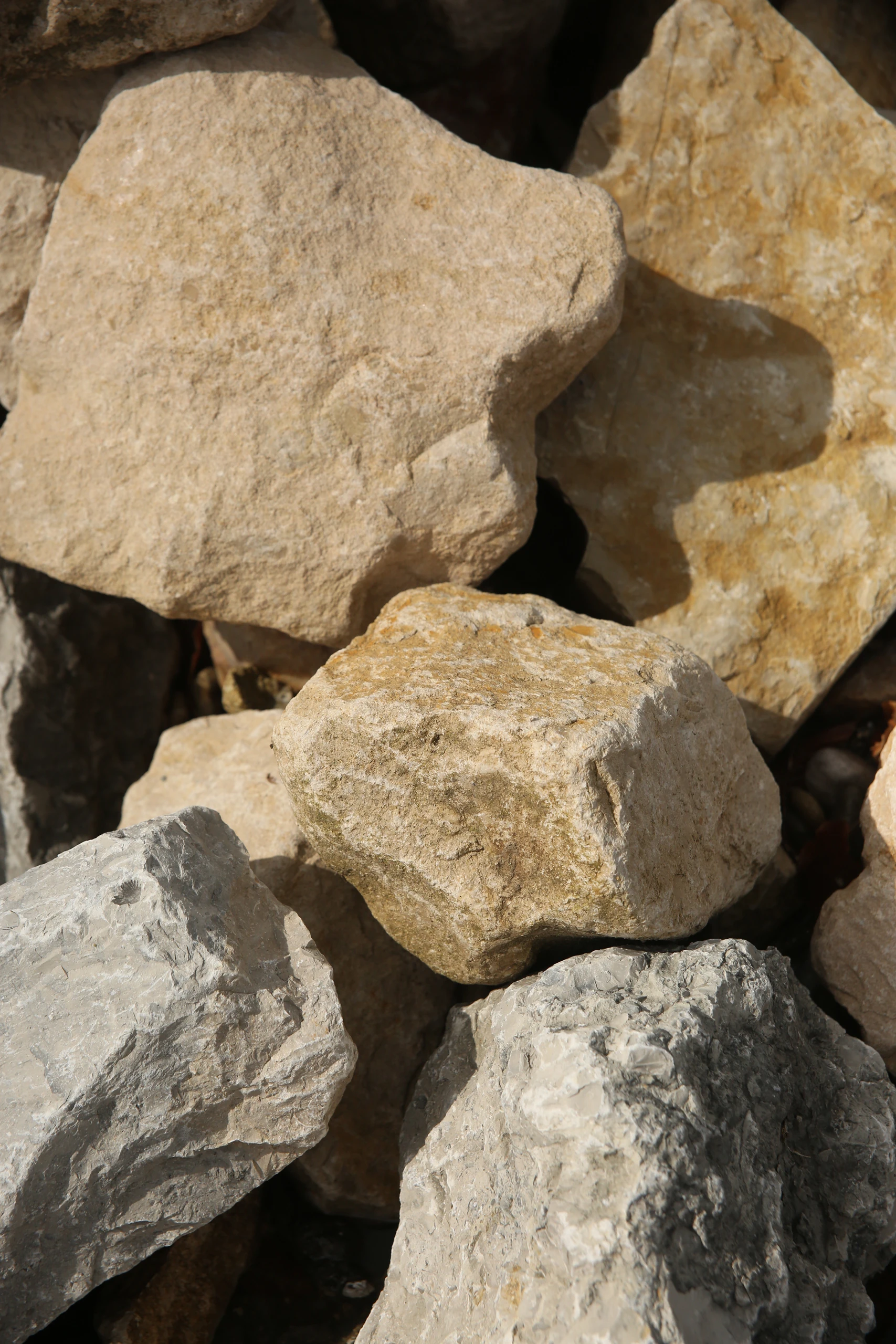 Gros plan sur rochers calcaire beige et pierre bleue pour berge de bassin paysager — Lacroix-Saint-Ouen, Oise — Colver
