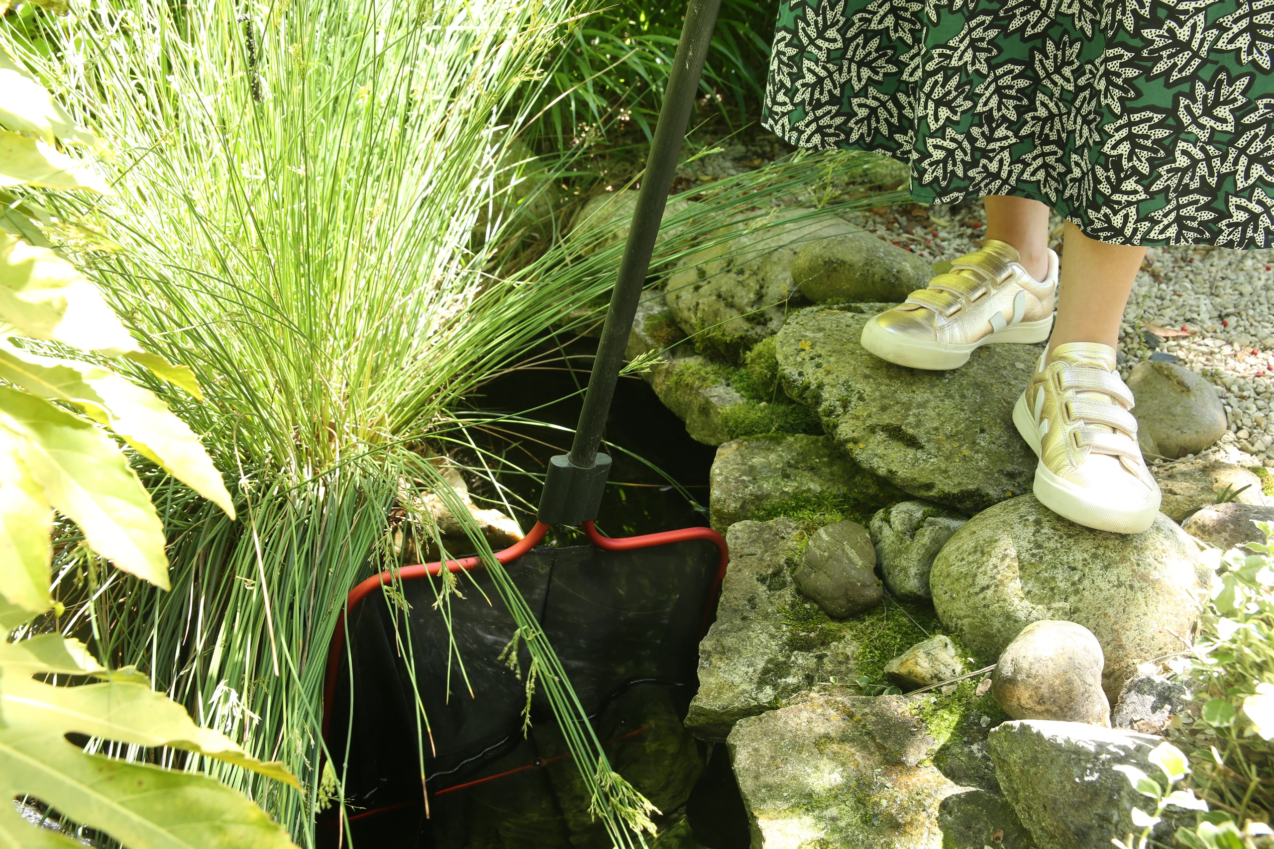 Entretien des plantes aquatiques et rochers d'une mare de jardin — Thourotte, Oise — Colver