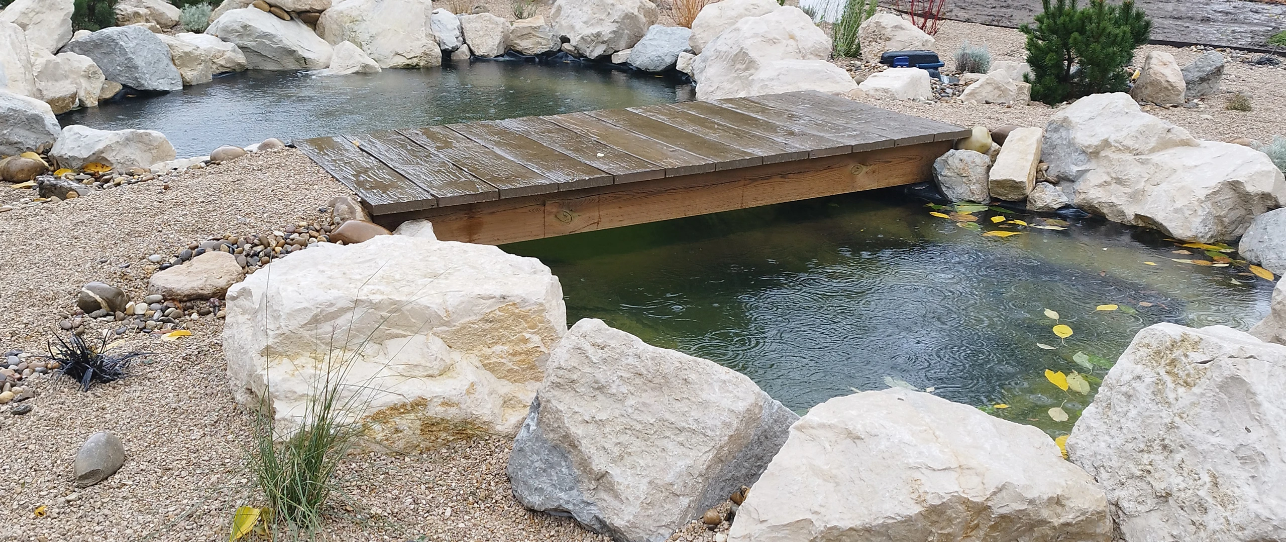 Bassin paysager avec passerelle bois traversante, enrochement calcaire blanc et plantes en berge — Ribécourt-Dreslincourt, Oise — Colver
