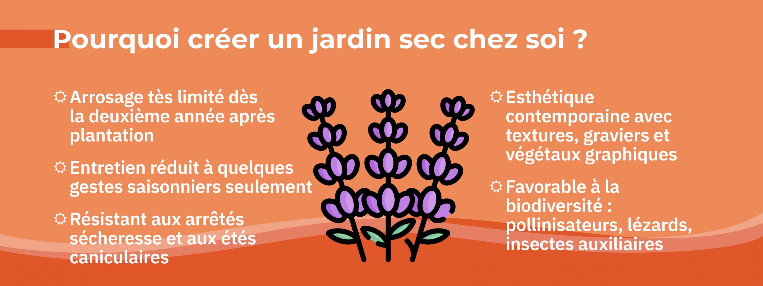 intérêts aménager jardin sec entretien limité résistance sécheresse biodiversité