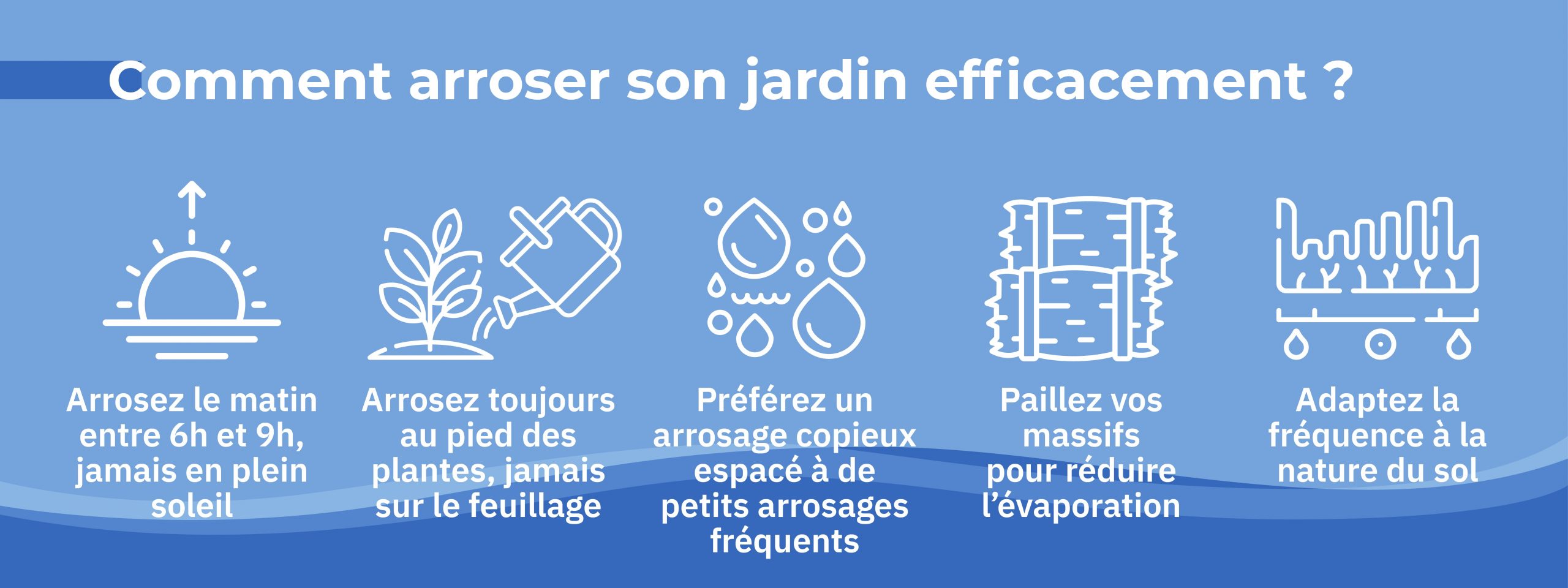 astuces pour arroser son jardin efficacement et économiser eau