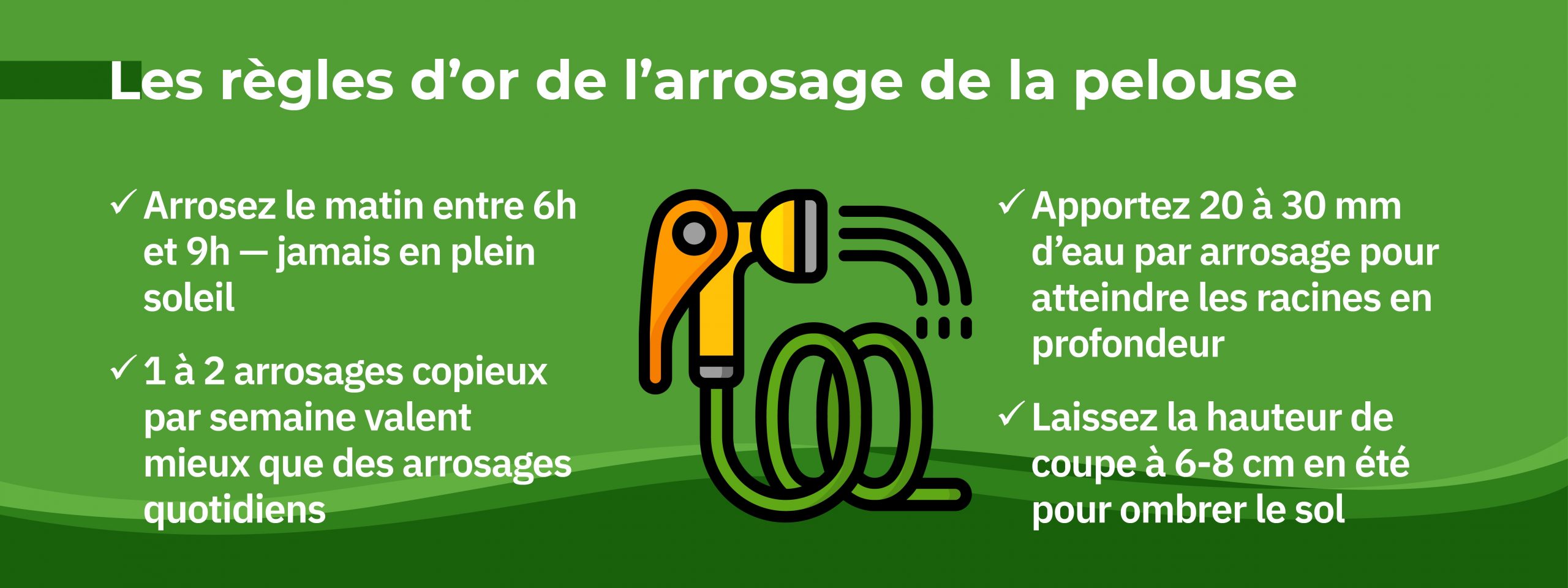 conseils pour arroser gazon efficacement jardin