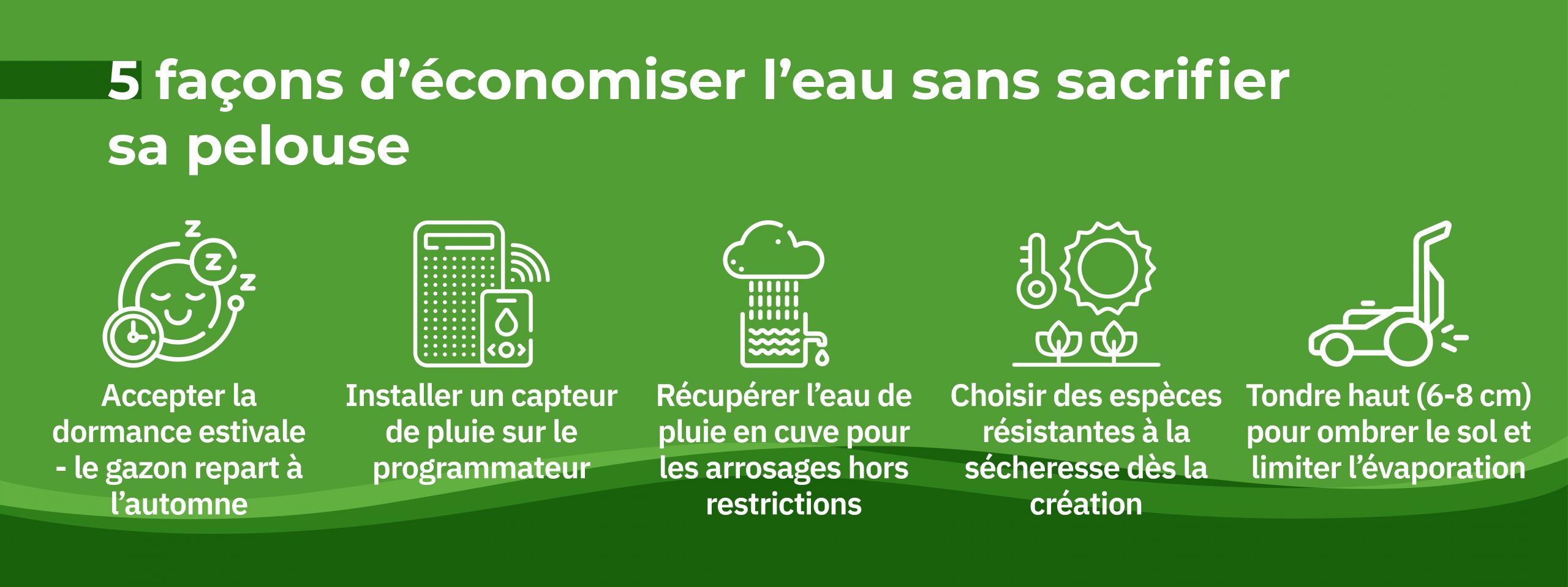 astuces économiser eau jardin arrosage gazon