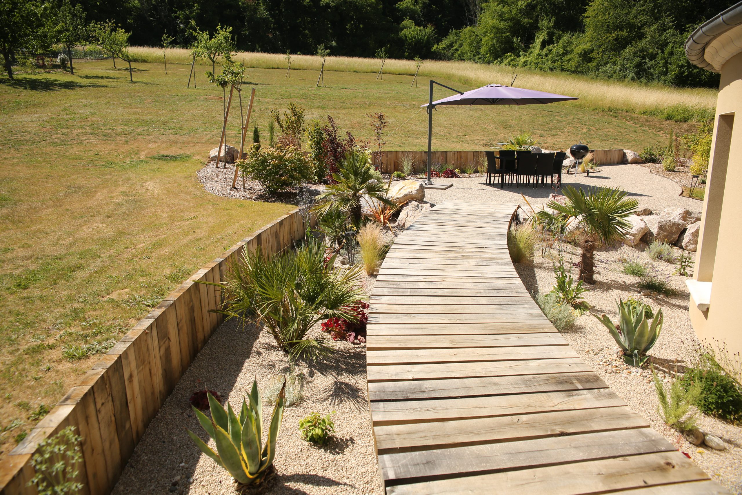 gazon jauni sécheresse été pelouse stress hydrique jardin