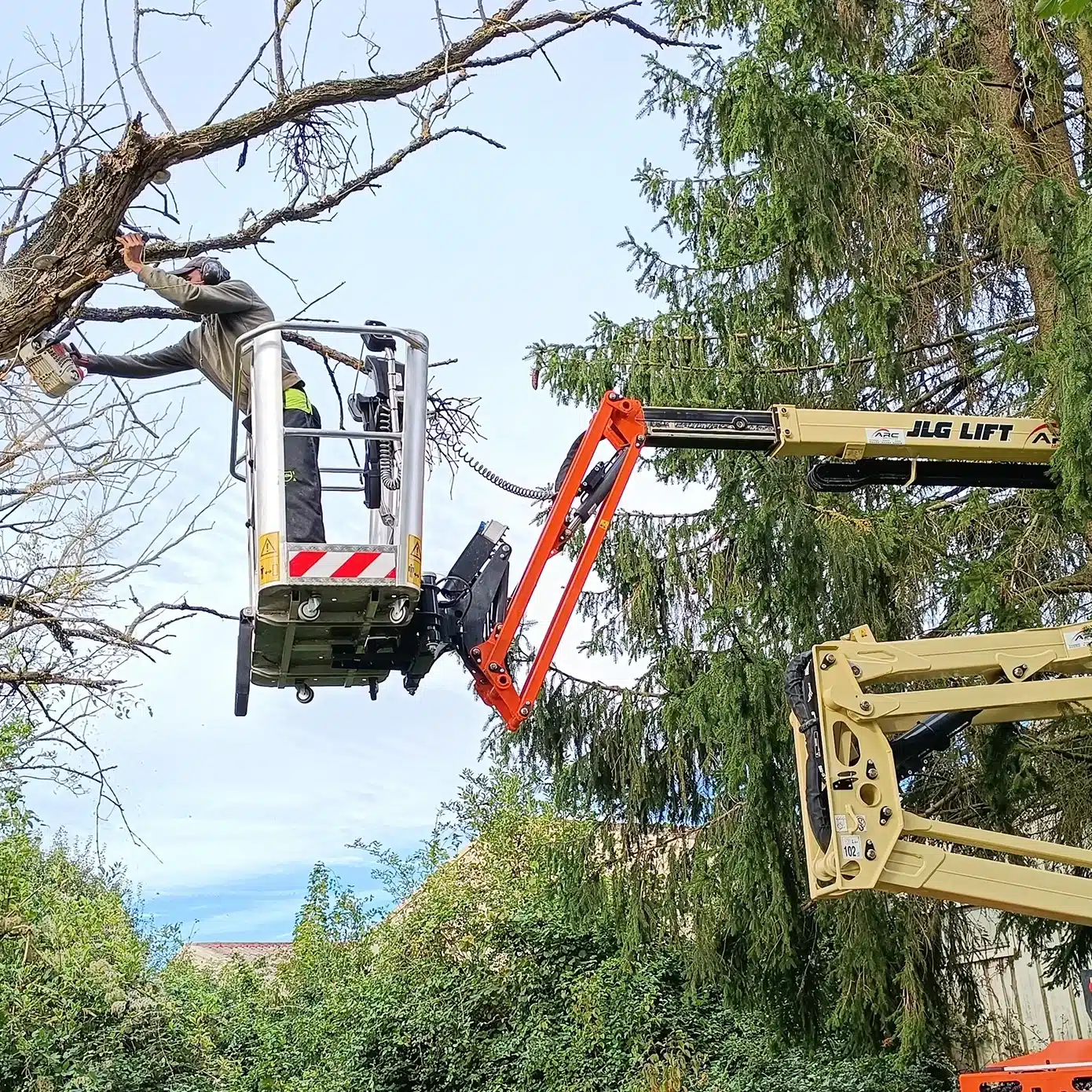Elagueur grimpeur dans une nacelle élévatrice réalisant une taille d'arbre - élagage Saint-Quentin, Aisne — Colver