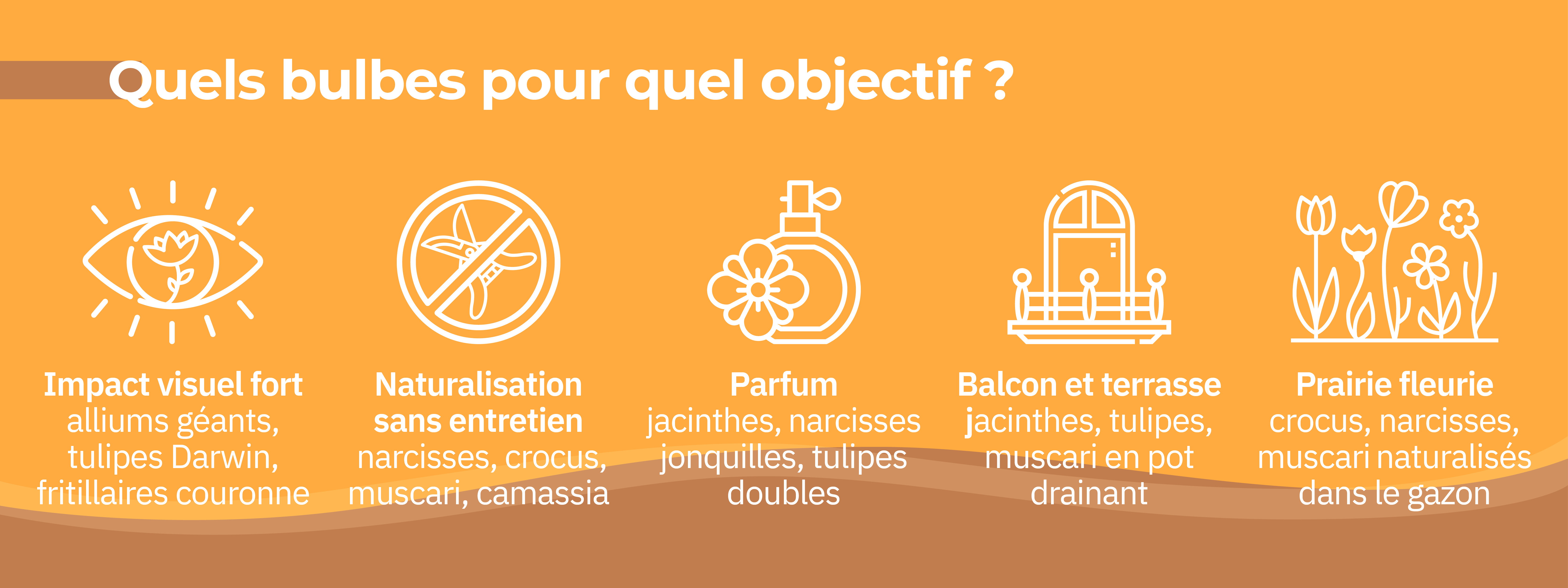 choisir bulbes selon objectif décoratif naturalisation parfum