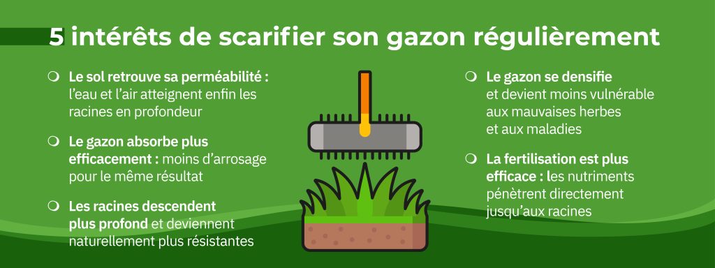 intérêts scarifier gazon régulièrement beauté santé densité brins herbe