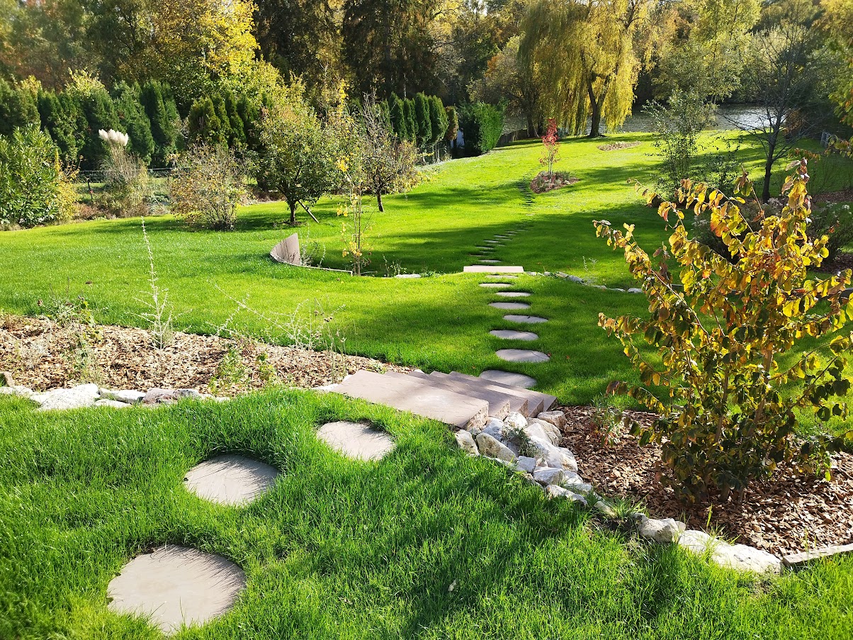 pelouse dense saine après scarification semis gazon Compiègne Oise