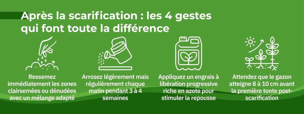 entretien gazon post scarification arrosage semis engrais tonte